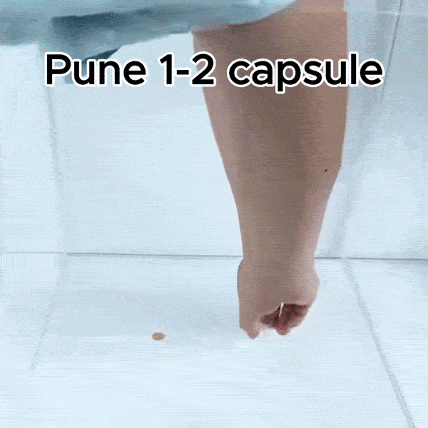 GandaSTOP Capcană AntiGândaci