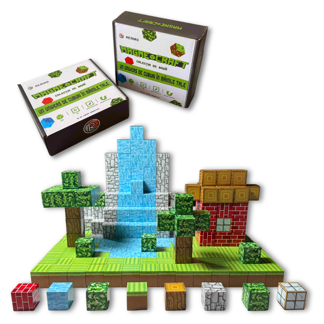 MagnoBlocks